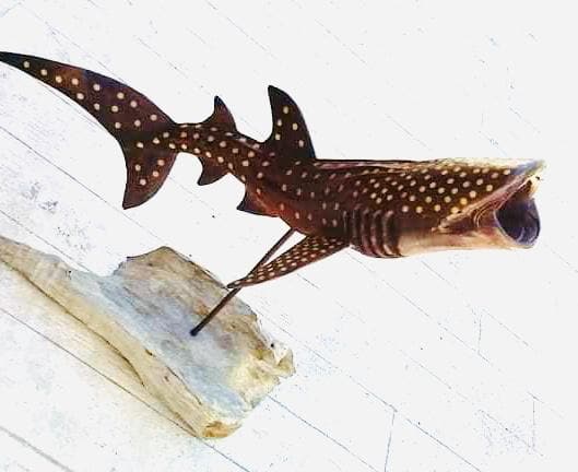 Wood Carving- Shark Whale